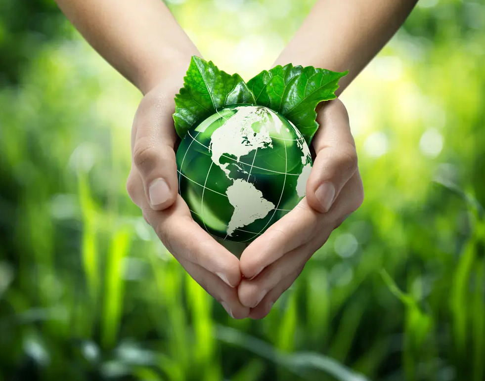 關(guān)于綠色印刷，這些你都知道嗎？