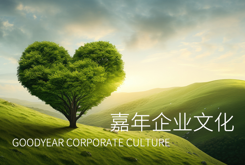 嘉年印務企業(yè)文化正式發(fā)布